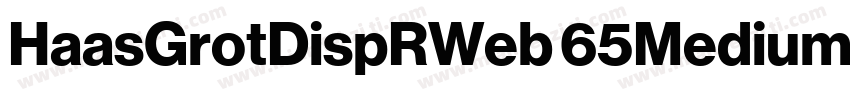 HaasGrotDispRWeb 65Medium字体转换
